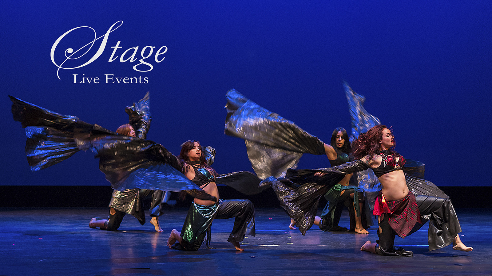 Mark Mendez photography pic