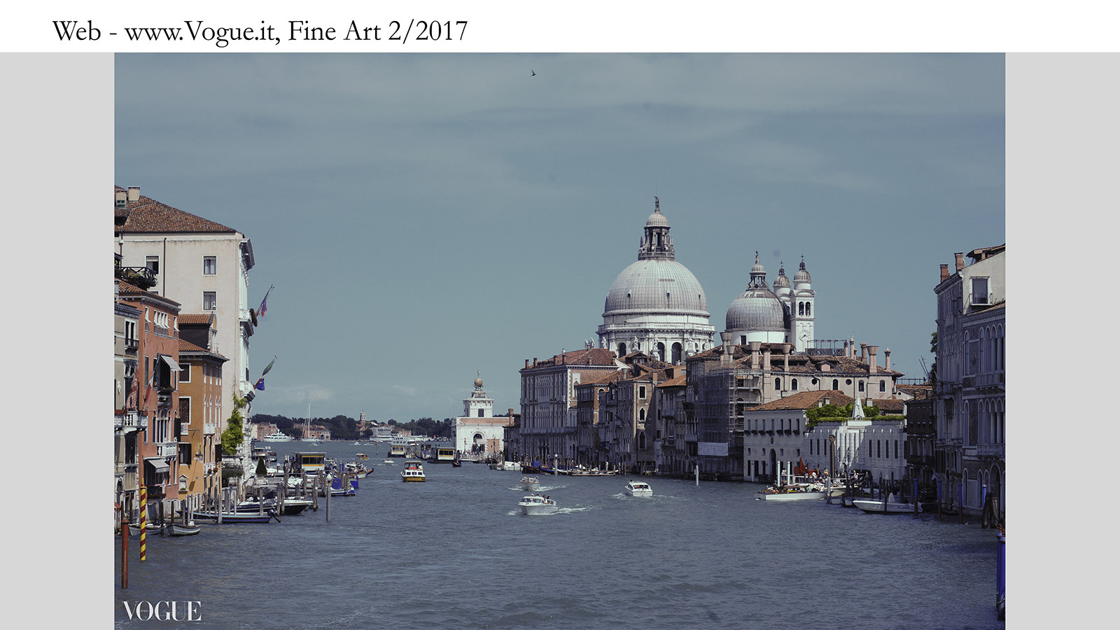 Mark Mendez photography pic