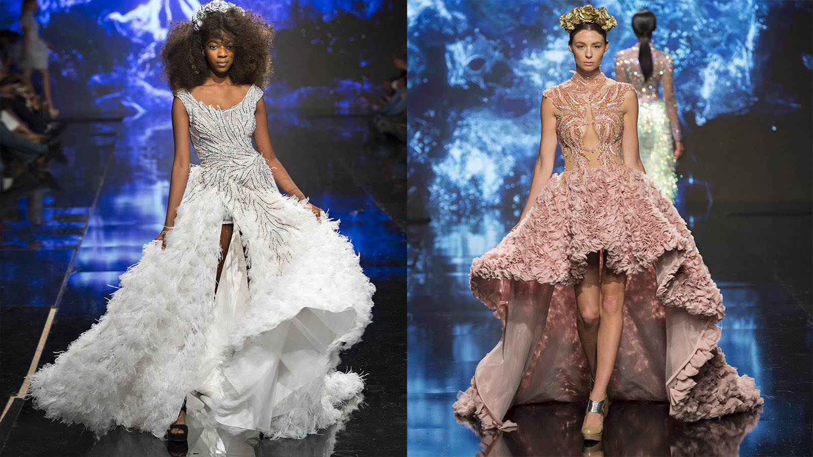 Mark Mendez photography pic