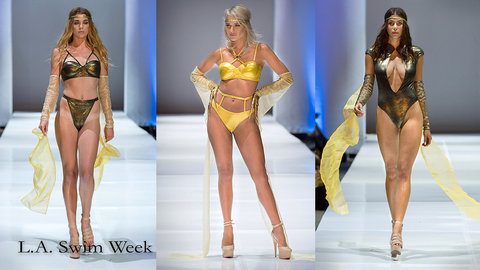 Mark Mendez photography pic