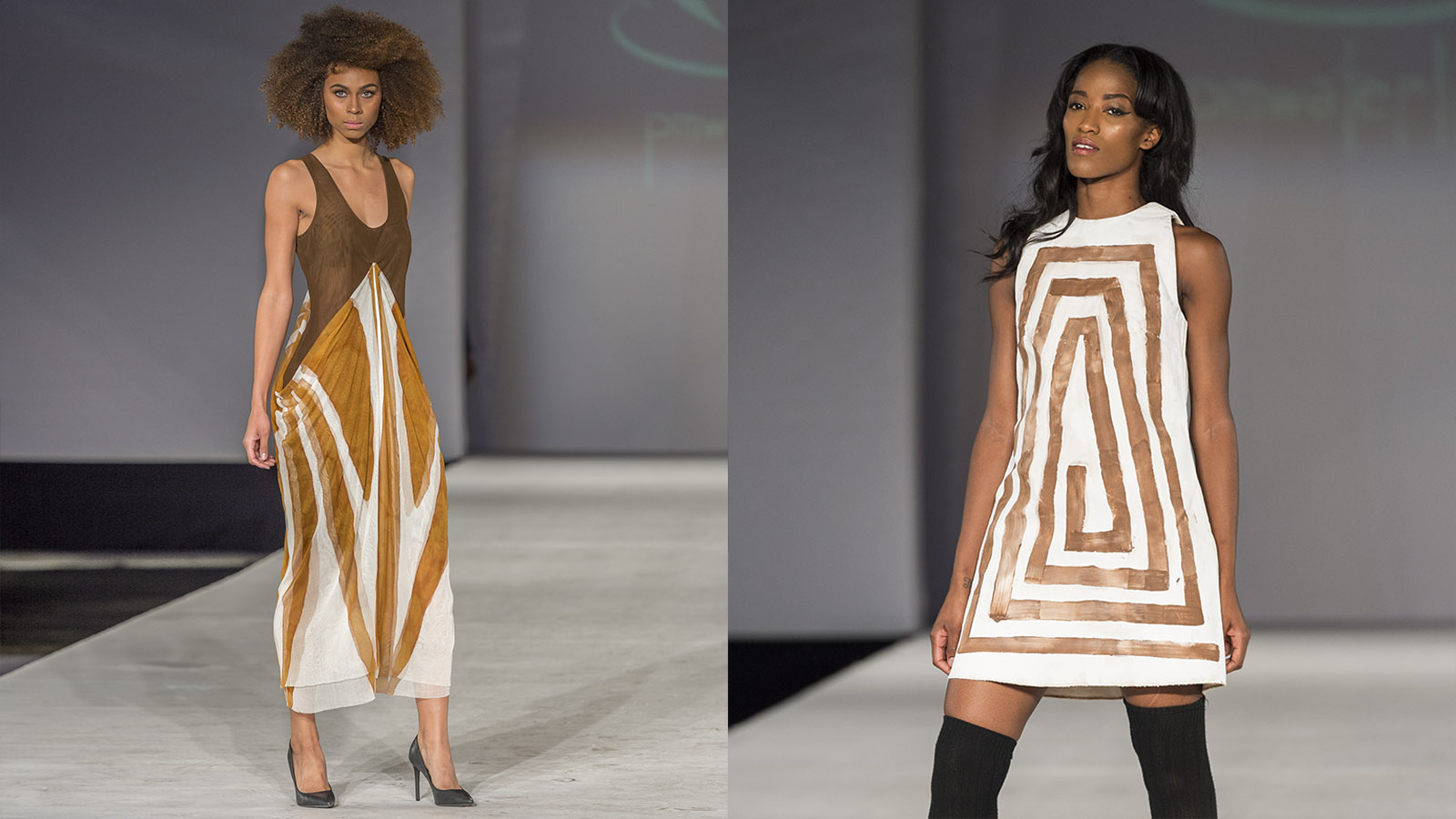 Mark Mendez photography pic