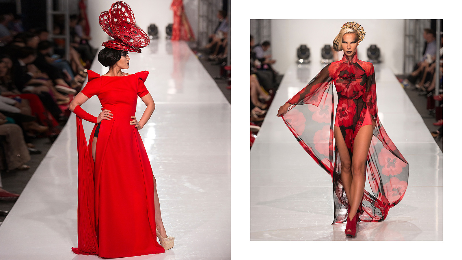 Mark Mendez photography pic