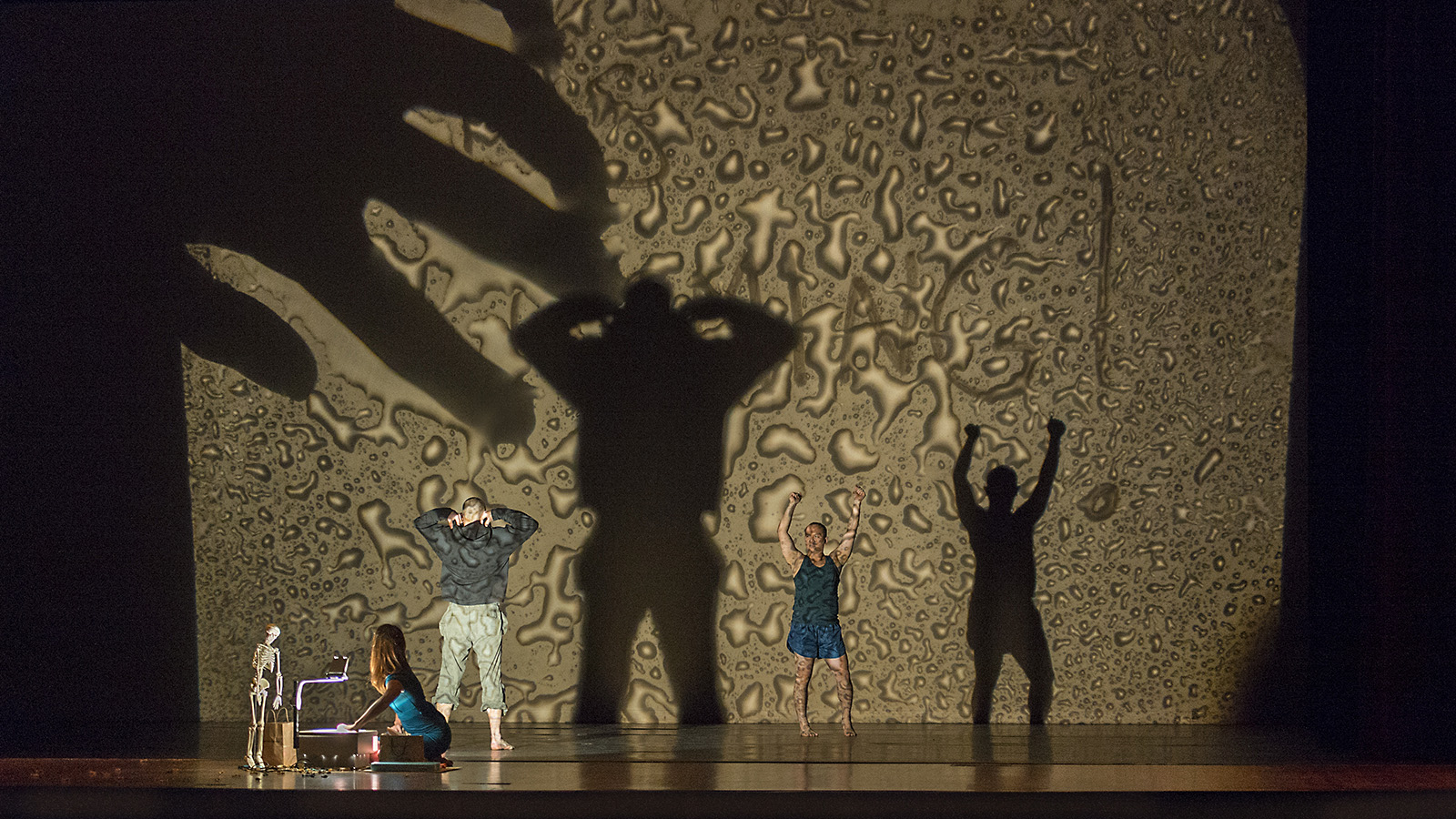 Mark Mendez photography pic