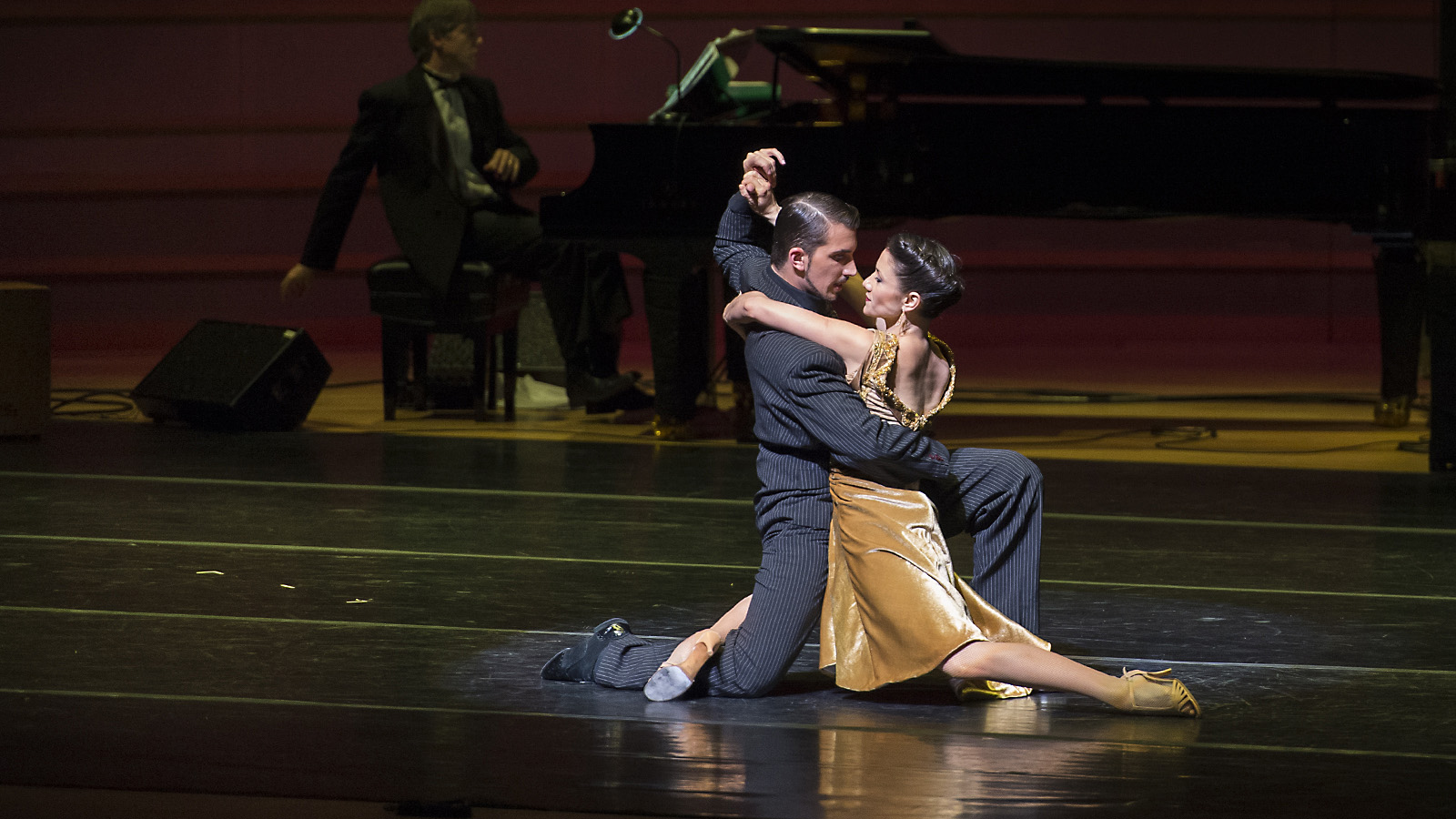 Mark Mendez photography pic